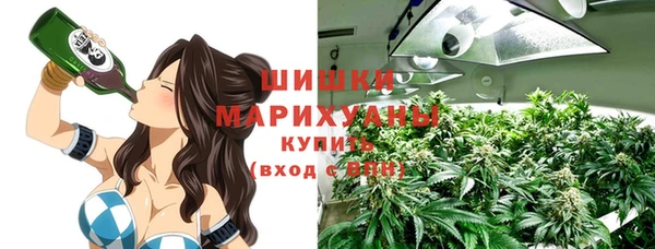 дживик Володарск